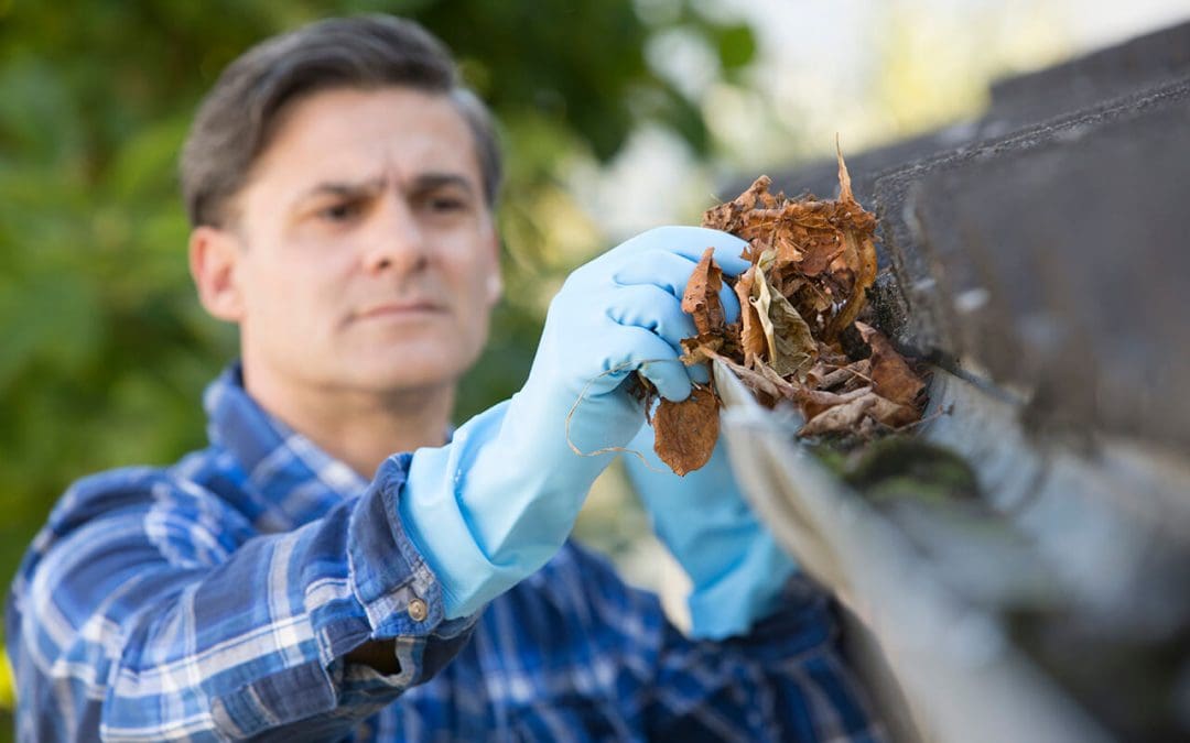 6 Homeowner Tips to Keep Your Home Running Smoothly