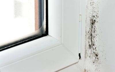 How to Control Mold Growth In Your Home