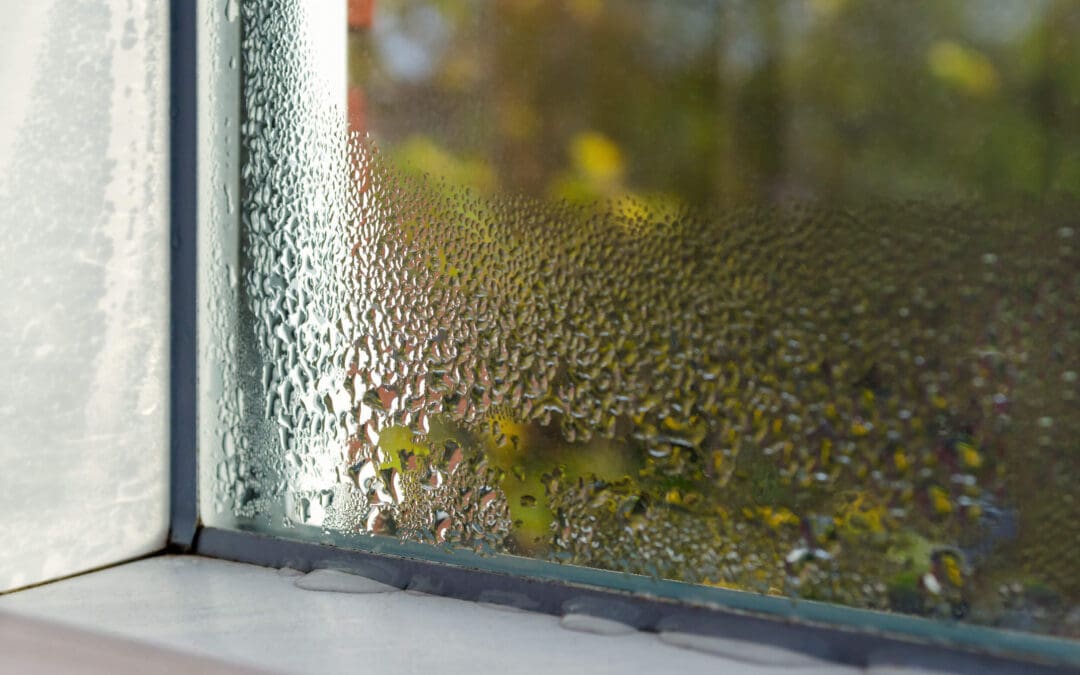 Prevent Condensation Indoors: Simple Tips for a Drier, Healthier Home
