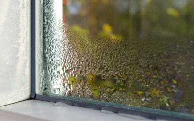Prevent Condensation Indoors: Simple Tips for a Drier, Healthier Home
