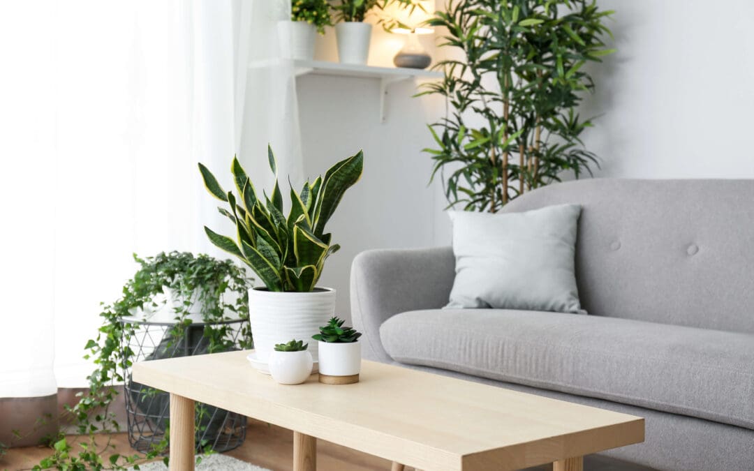Your Home, Your Sanctuary: Simple Ways to Promote Wellness at Home